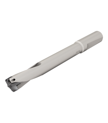 DCN 135-050-16N-5D-BD