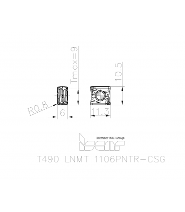 T490 LNMT 1106PNTR-CSG IC810
