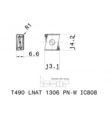 T490 LNAT 1306 PN-W IC808