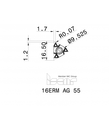 16ERM AG 55        IC1007