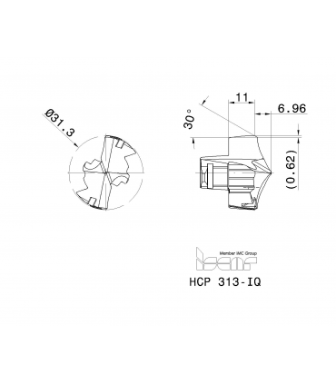 HCP 313-IQ IC908