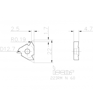 22IRM N 60         IC250