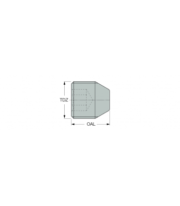 SCREW M16X1.5 FOR CF4
