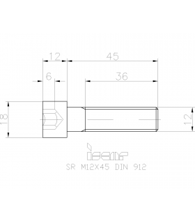 SR M12X45DIN912