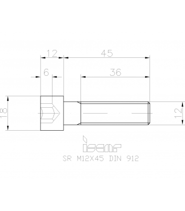 SR M12X45DIN912