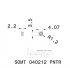 SOMT 040212 PNTR IC808