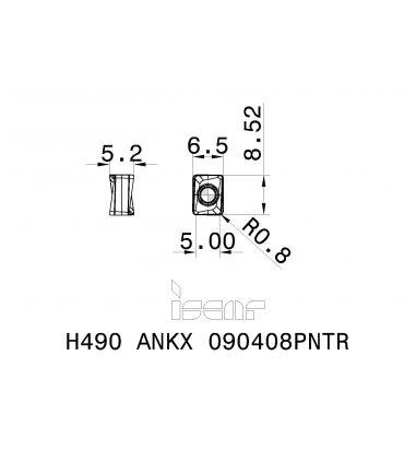 H490 ANKX 090408PNTR IC830