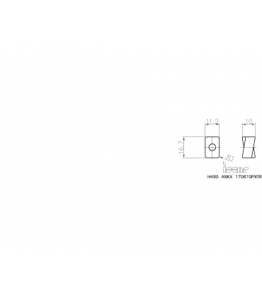 H490 ANKX 170610PNTR IC928