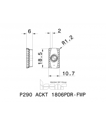 P290 ACKT 1806PDR-FWP IC840