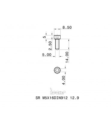 SR M5X16 DIN912