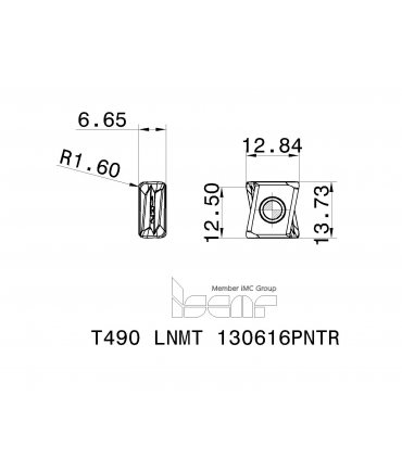 T490 LNMT 130616PNTR IC830