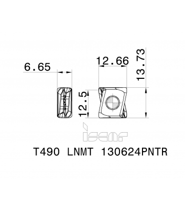 T490 LNMT 130624PNTR IC810