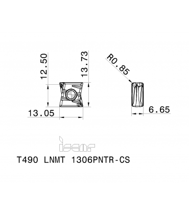 T490 LNMT 1306PNTR-CS IC330