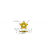 PENTA 24N200J100 IC908