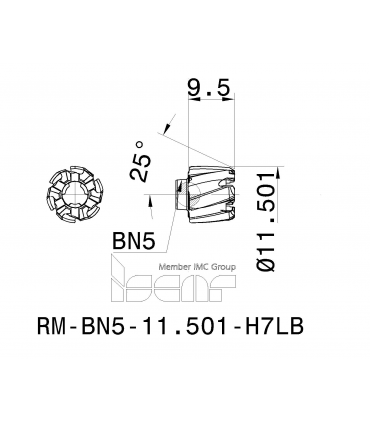 RM-BN5-11.501-H7LB IC08