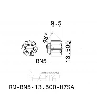 RM-BN5-13.500-H7SA IC08
