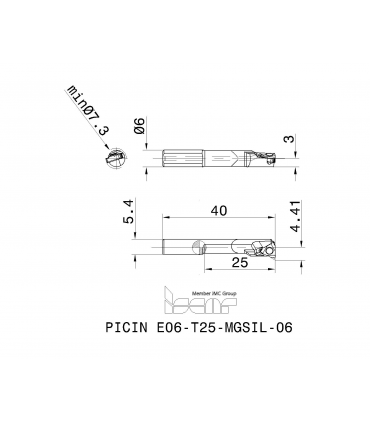 PICIN E06-T25-MGSIL-06