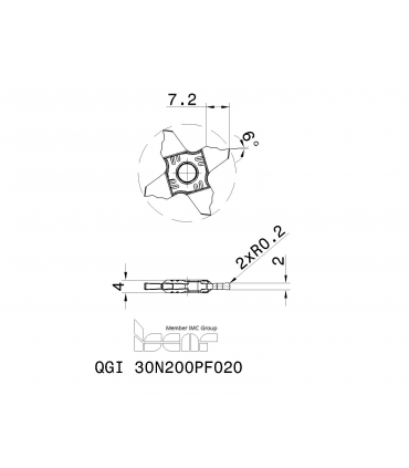 QGI 30N200PF020 IC1008