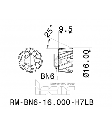 RM-BN6-16.000-H7LB IC08