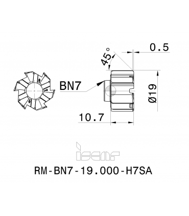 RM-BN7-19.000-H7SA IC08