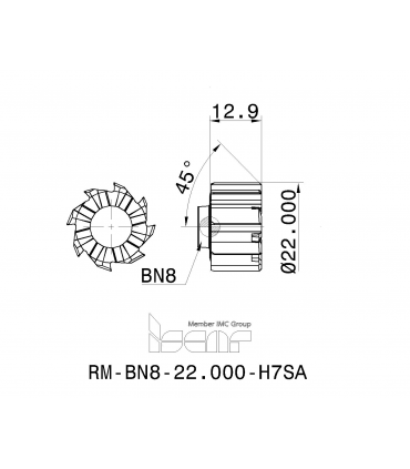 RM-BN8-22.000-H7SA IC08