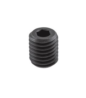 SR M10X12 DIN1835-B