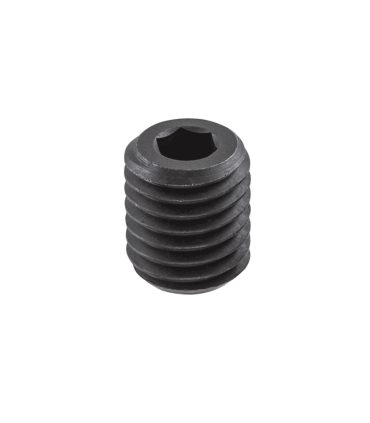 SR M10X12 DIN1835-B