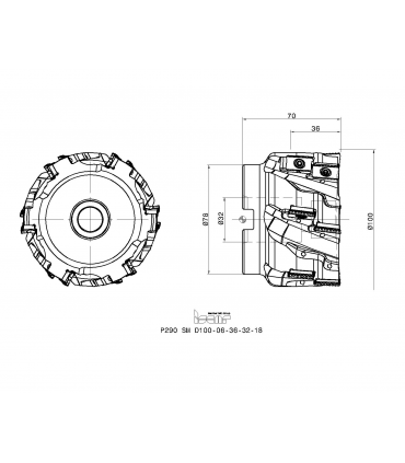 P290 SM D100-06-36-32-18