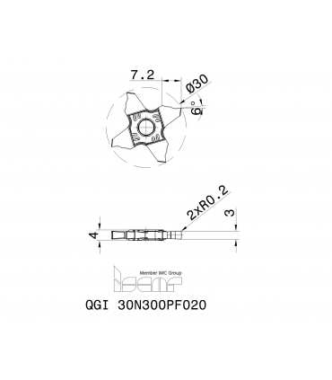QGI 30N300PF020 IC1008