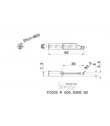 PICCO R 020.0300-30 IC1008