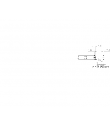 HP ANKT 070202PNTR IC928