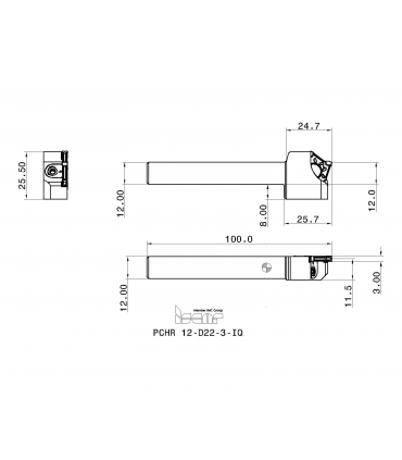 PCHR 12-D22-3-IQ