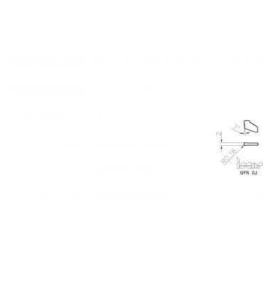 GFN 2J IC20