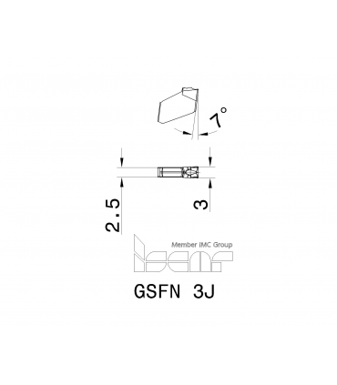 GSFN 3J IC328