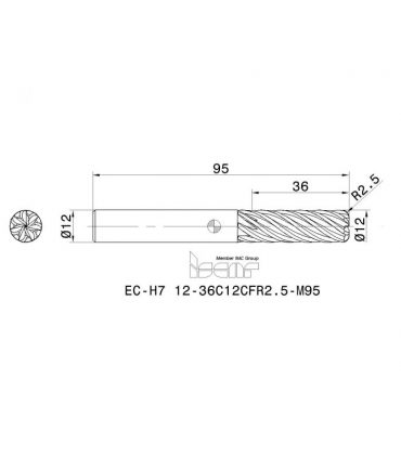 EC-H7 12-36C12CFR2.5-M95 IC902