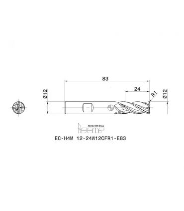 EC-H4M 12-24W12CFR1-83 IC900
