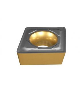 CCMT 060204-WG IC907