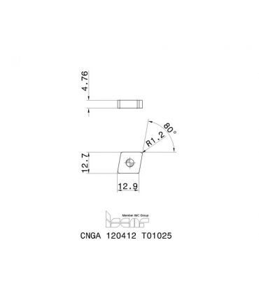 CNGA 120412 T01025 IN16C