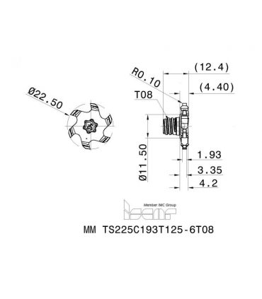MM TS225C193T125-6T08 IC928