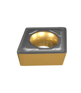 CCMT 060204-WG IC907