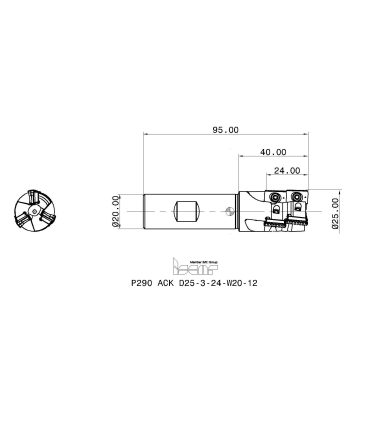 P290 ACK D25-3-24-W20-12