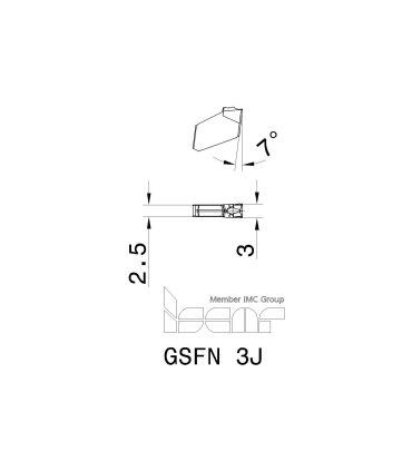GSFN 3J IC20