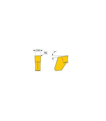 GFN 4 IC20