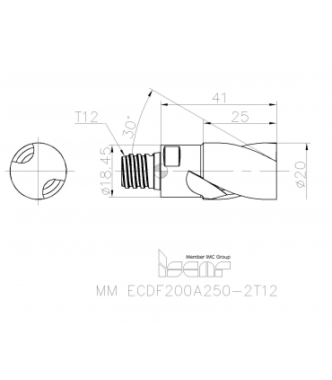 MM ECDF200A250-2T12 IC908