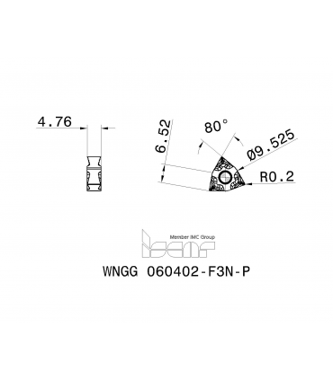 WNGG 060402-F3N-P IC20