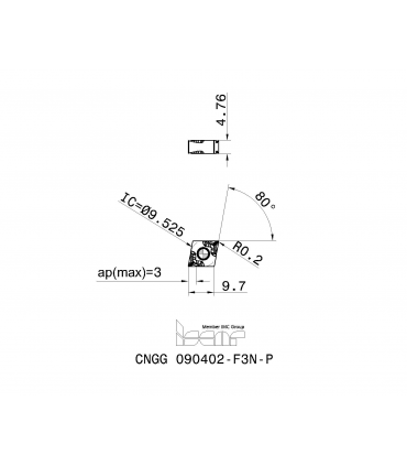 CNGG 090402-F3N-P IC20