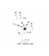 CCMT 060204-M3P IC807
