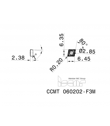 CCMT 060202-F3M IC6015