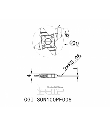 QGI 30N100PF006 IC1008