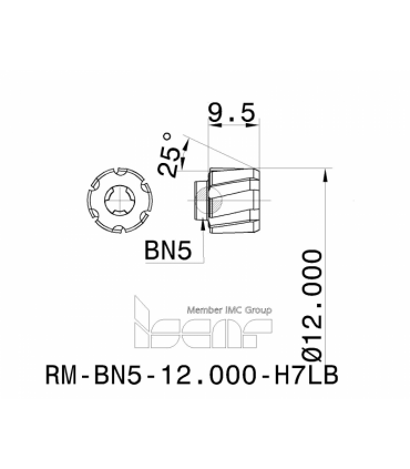 RM-BN5-12.000-H7LB IC08